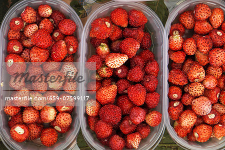 Wild strawberries in plastic containers at the market (top view)