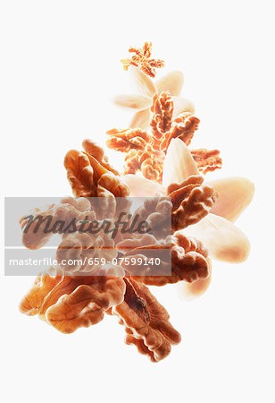 Walnuts and almonds forming a star shape Walnuts and almonds forming a star shape