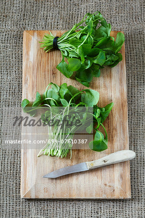 Two bunches of purslane