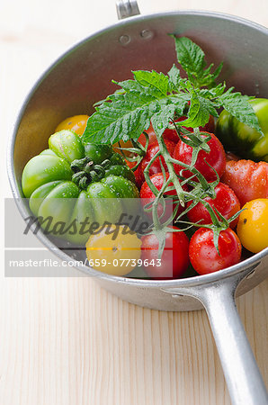 Various fresh tomatoes in a saucepan Various fresh tomatoes in a saucepan