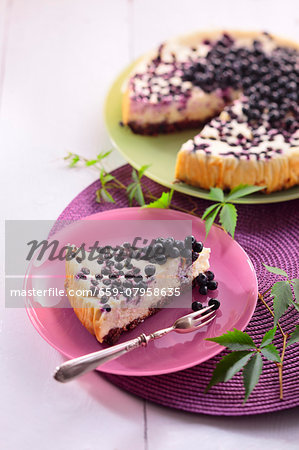 Cheesecake with blueberries and white chocolate Cheesecake with blueberries and white chocolate