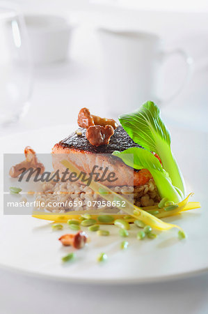 Salmon fillet with chanterelle mushrooms on a bed of barley