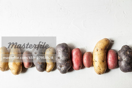 A row of various potatoes A row of various potatoes