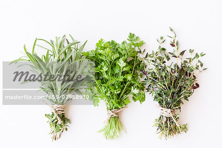 Three bunches of fresh herbs: rosemary, coriander and thyme