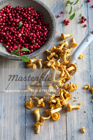 Chanterelle mushrooms and cranberries