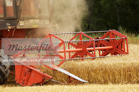 A combine harvester in a wheat field (wine growing region, Austria)