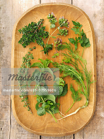 Fresh herbs on a wooden platter: thyme, lemon thyme, oregano, parsley, mint, dill Fresh herbs on a wooden platter: thyme, lemon thyme, oregano, parsley, mint, dill