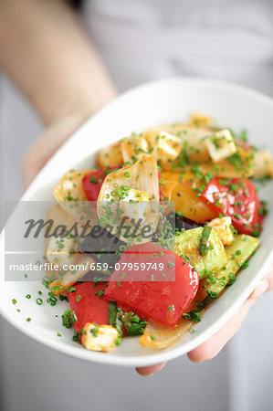 A hand holding a plate of ratatouille