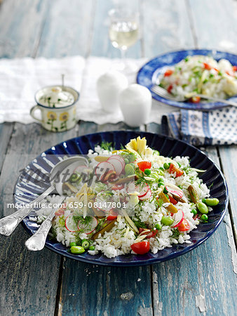 Rice salad with radishes, tomatoes, beans and gherkins