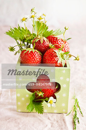 Fresh strawberries in a square vase Fresh strawberries in a square vase