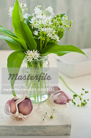 Wild garlic with flowers in a glass of water with garlic cloves on a chopping board