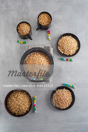 Various types of grains in cups and bowls