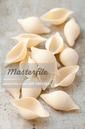 Pasta shells on a grey surface