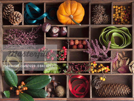 An autumnal arrangement in an old seedling tray