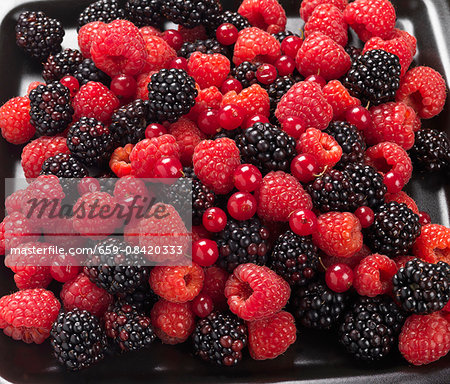 Raspberries, blackberries and redcurrants