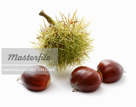 Chestnuts and a prickly case