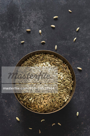 Fennel seeds in a metal bowl