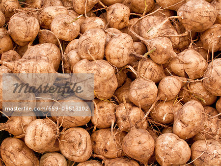 Jicama turnips at a market