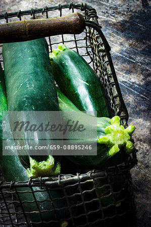 Several courgettes in a wire basket