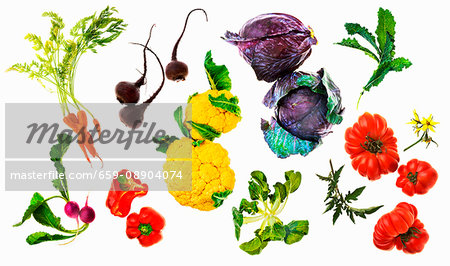 Various vegetables on a white surface (seen from above)