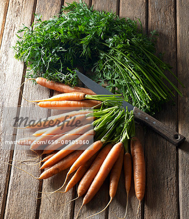 A bunch of carrots with leaves and a knife on a wooden table