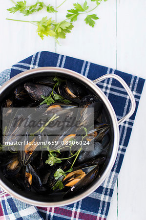 Mussels in a herb broth