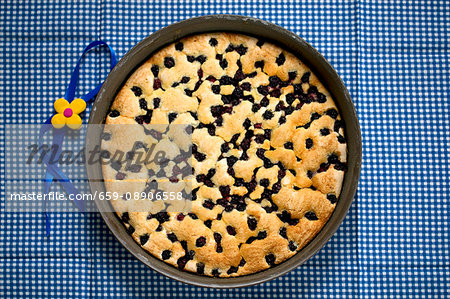 Blackberry cake in a cake tin