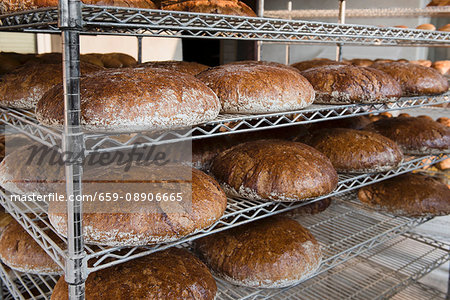 Loaves of Graham bread baked in a wood-fired oven on metal shelves in a bakery