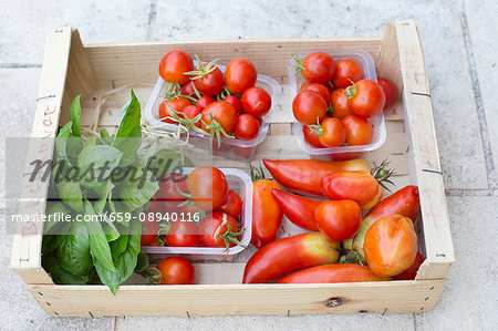Various types of tomatoes and a bunch of basil in a wooden crate