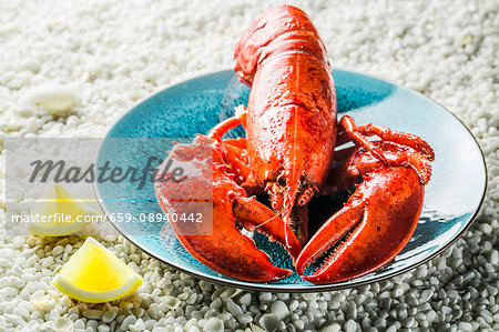 Cooked lobster with lemon on gravel