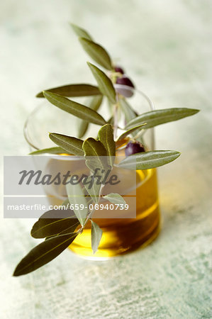 A glass of olive oil with an olive sprig