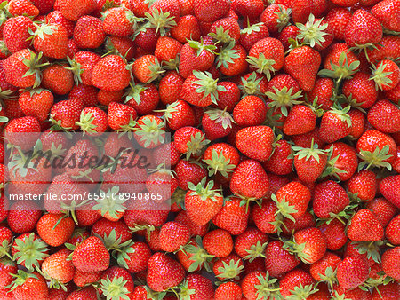 Overall of strawberries Overall of strawberries