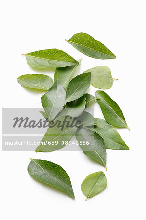 Curry leaves on a white surface