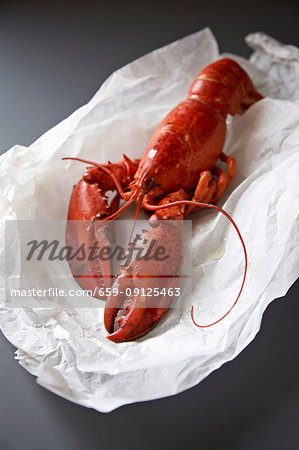 A whole cooked lobster on white paper A whole cooked lobster on white paper