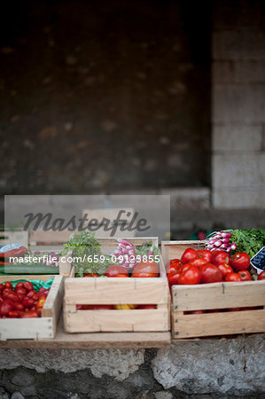 Tomatoes and radishes in vegetable boxes