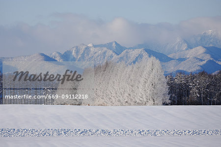 Landscape in Winter