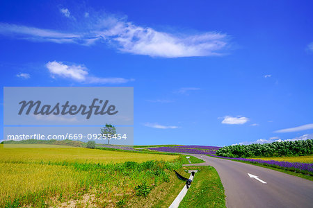 Hokkaido in Summer Hokkaido in Summer