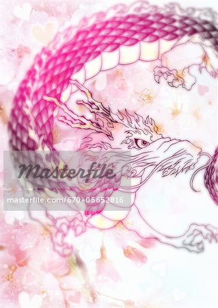 Cherry blossoms and dragon Cherry blossoms and dragon