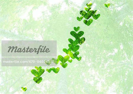 Japanese islands made of heart-shaped leaves (Ecology image) Japanese islands made of heart-shaped leaves (Ecology image)