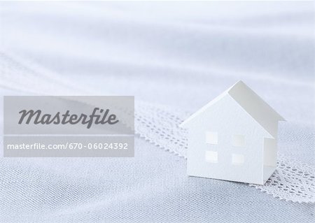 Miniature house (Ecology image)