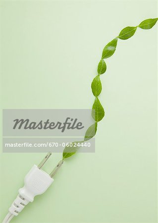 Plug and leaves