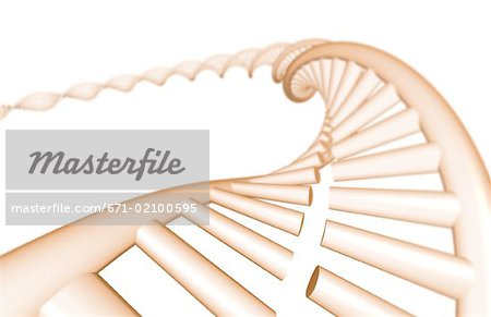 DNA structure