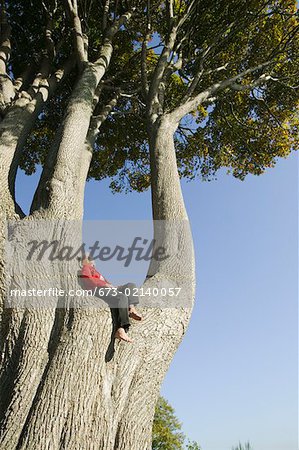Woman relaxing in huge tree