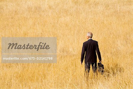 Businessman standing in field