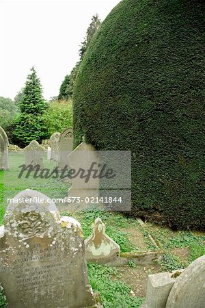Finely trimmed hedges in graveyard, Cotswolds, United Kingdom