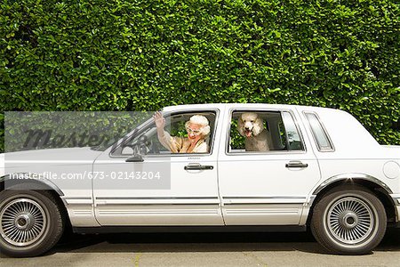 Senior woman and dog in car