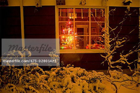 House in winter with Christmas Tree visible in window