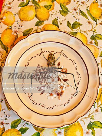 harlequin beetle on flowered dinner plate