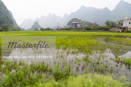 Karst mountains behind a village rice paddy, Yangshuo, China