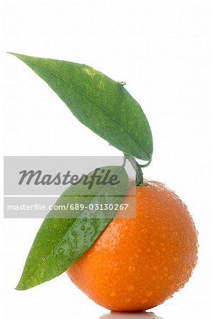 Orange with leaf